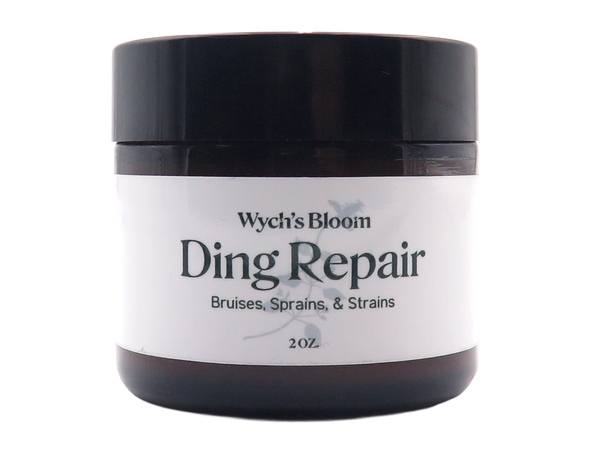 ding repair salve
